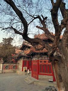 2023 02 05  PEKIN - WANSHOU TEMPLE LONGEVITE BIENVEILLANCE (41)